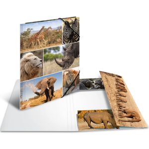 Elastomappen A4 karton afrika dieren [3x]