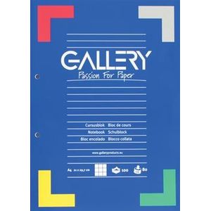 Gallery cursusblok, ft A4, 80 g/mA2, 2-gaatsperforatie, geruit 5 mm, 100 vel