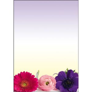 designpapier Sigel A4 90grs pak a 50 vel Flower Harmony