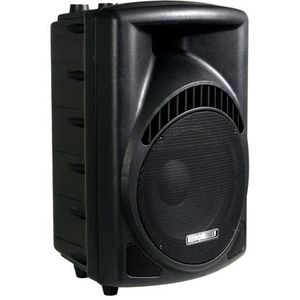 PROFESSIONELE TWEEWEG ABS LUIDSPREKER 12"