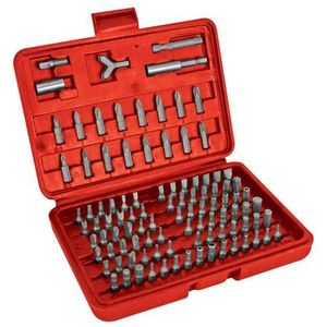 100-DELIGE SET MET SCHROEVENDRAAIERBITS