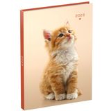 Agenda 2023 110x150 My Favourite Friends 7dagen/2pagina's 1 kitten