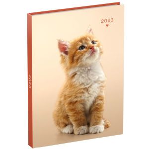 Agenda 2023 110x150 My Favourite Friends 7dagen/2pagina's 1 kitten