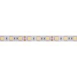 Velleman - Ledstrip - Flexibel - Zelfklevend - IP61 - 300 Leds - 5 m - 12 V - 4000K - Neutraal Wit