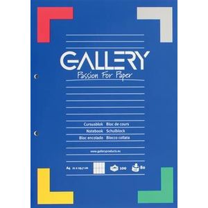 Gallery cursusblok, ft A4, 80 g/mA2, 2-gaatsperforatie, commercieel geruit, 100 vel