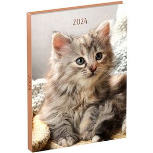 Agenda 2024 Lannoo My Favourite Friends 7dagen/2pagina's 110x150 kitten
