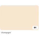 Fotokarton Folia 2-zijdig 50x70cm 300gr nr01 champagne [10x]