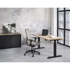 Zit-sta bureau Fabian - Elektrisch - Basic
