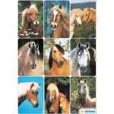 Stickers etiketten paardenhoofden [10x]