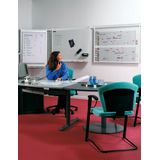 Legamaster PROFESSIONAL jaarplanner 6 maanden 90x120cm