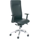 Manager-Fauteuil Euroseats Vienna LB