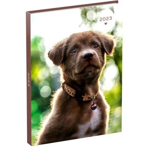 Agenda 2023 110x150 My Favourite Friends 7dagen/2pagina's PUPPIE met halsband