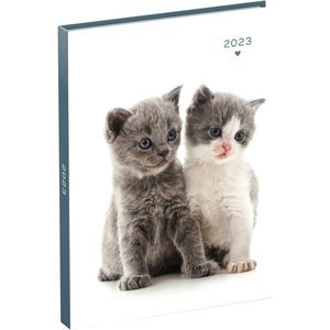 Agenda 2023 110x150 My Favourite Friends 7dagen/2pagina's 2 kittens