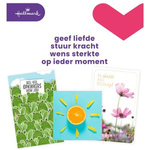 Wenskaart Hallmark navulset beterschap/sterkte 12 kaarten