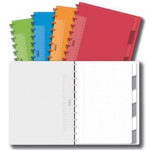Adoc Colorlines schrift, ft A4, 144 bladzijden,commercieel geruit, geassorteerde kleuren