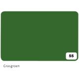 Fotokarton Folia 2-zijdig 50x70cm 300gr nr55 grasgroen [10x]