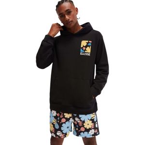 Hoodie Ellesse Tepsoni