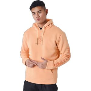 Sweater met capuchon en logo Project X Paris