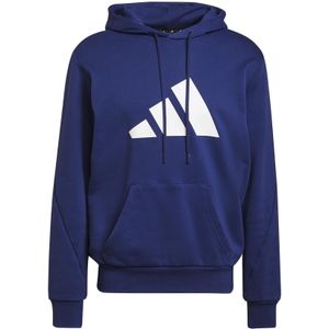 Hooded sweatshirt adidas Sportswear Future Icons Logo Graphic