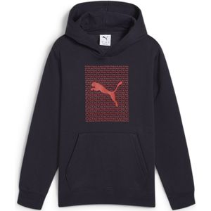 Junior Hoodie Puma Lab