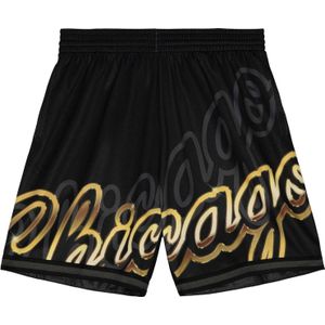 Shorts Chicago Bulls NBA Big Face 4.0 Fashion