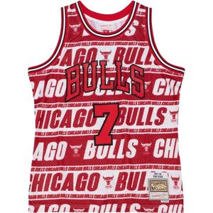 NBA-shirt Chicago Bulls Teamwrap Swingman Jersey Bulls 1997 Toni Kukoc