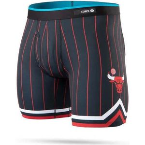 Boxer Chicago Bulls