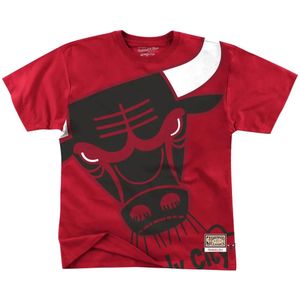 T-shirt Chicago Bulls big face bulls