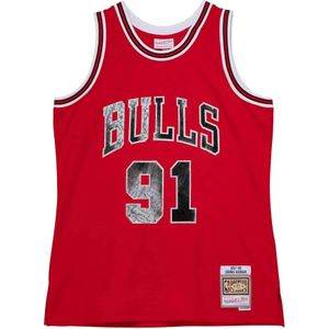 NBA-shirt Chicago Bulls Dennis Rodman