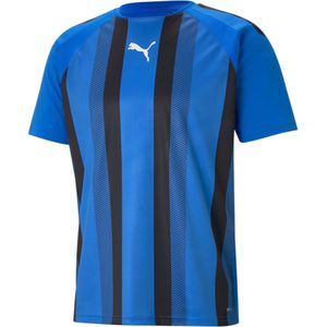 Koszulka Puma Team Liga Striped