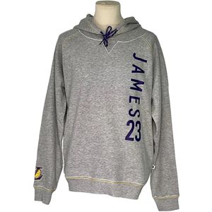 Hoodie Los Angeles Lakers Lebron James Master Piece