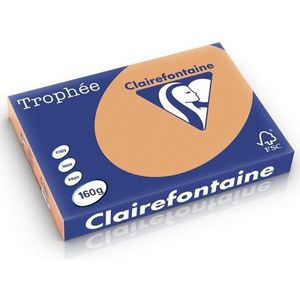 Clairefontaine gekleurd papier caramel 160 grams A3 (250 vel)