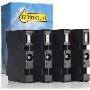 Ricoh aanbieding: GC-41L serie Inktcartridge (123inkt huismerk)