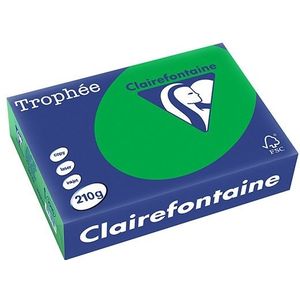 Clairefontaine gekleurd papier biljartgroen 210 grams A4 (250 vel)