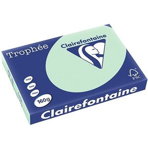 Clairefontaine gekleurd papier groen 160 grams A3 (250 vel)