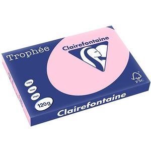 Clairefontaine gekleurd papier roze 120 grams A3 (250 vel)