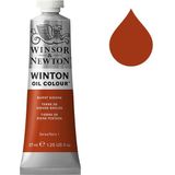 Winsor & Newton Winton olieverf 074 burnt sienna (37ml)