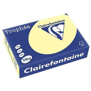 Clairefontaine gekleurd papier geel 210 grams A4 (250 vel)
