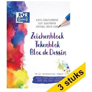 Spinach Boundelle iqf Diepvrieze 2,5kg - Horecagroothandel - Cheeseca