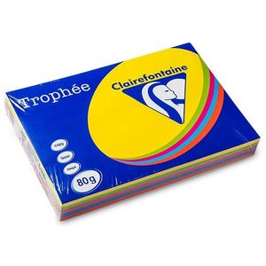 Clairefontaine multipack intens geel/groen/oranje/blauw/roze 80 grams A3 (5 x 100 vel)