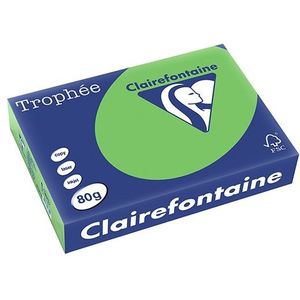 Clairefontaine gekleurd papier grasgroen 80 grams A4 (500 vel)
