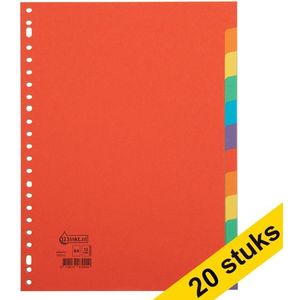 Aanbieding: 20x 123inkt kartonnen tabbladen A4 gekleurd met 12 tabs (23-gaats)