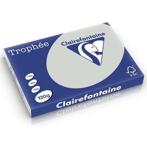 Clairefontaine gekleurd papier lichtgrijs 120 grams A3 (250 vel)