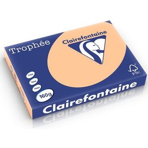 Clairefontaine gekleurd papier abrikoos 160 grams A3 (250 vel)