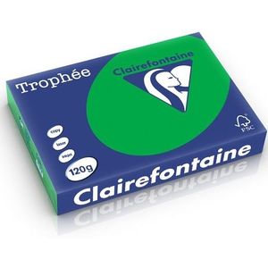 Clairefontaine gekleurd papier biljartgroen 120 grams A4 (250 vel)