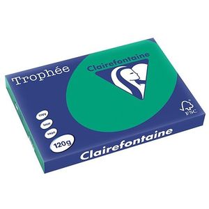 Clairefontaine gekleurd papier dennengroen 120 grams A3 (250 vel)