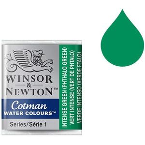 Winsor & Newton Cotman aquarelverf 329 intense green (halve nap)