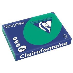 Clairefontaine gekleurd papier dennengroen 120 grams A4 (250 vel)