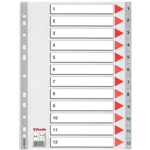 Esselte 100106 plastic indexen A4 grijs met 12 tabs 1-12 (11-gaats)