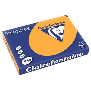 Clairefontaine gekleurd papier oranje 160 grams A3 (250 vel)